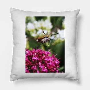 THE PANASONIC FZ 200 PAR OKAIO CREATION Pillow