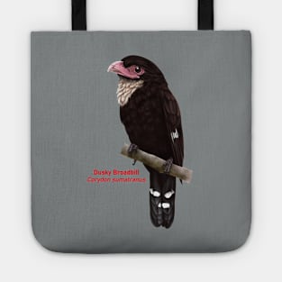 Dusky Broadbill | Corydon sumatranus Tote