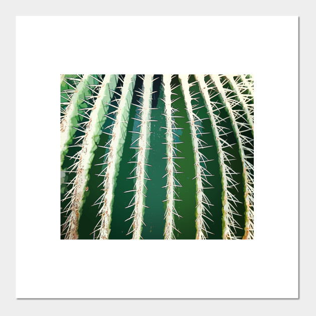 Barrel Cactus Painting Cactus Art Posters And Art Prints