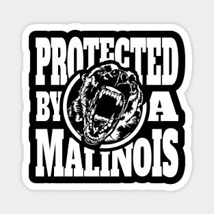 Protected by a Malinois Maligator Belgian Shepherd Magnet