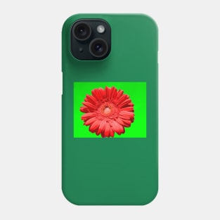 Red gerbera on green Phone Case