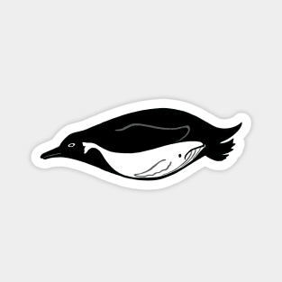 The Penguin Who Swallowed a Whale Magnet