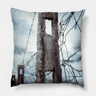 The Sentinel Pillow