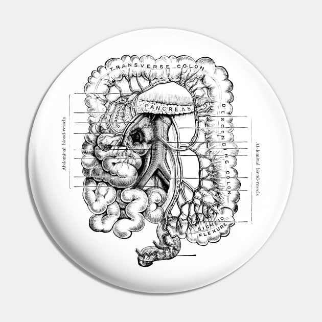 Human Body - Digestive System Pin by be yourself. design