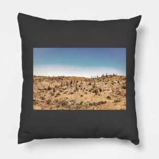 Apache Trail Scenic Drive View Pillow