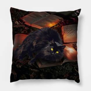 Haunted Books on Autumnal Grounds Pillow