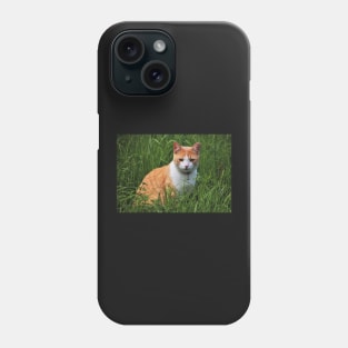 Curious Cat Phone Case