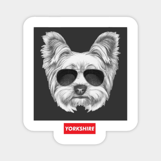 Yorkshire Terrier Magnet by robertromanian