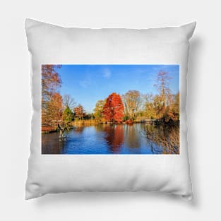 Winter Lake Scene Pillow