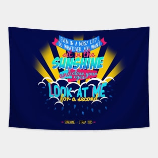 Stray kids sunshine lyrics Tapestry