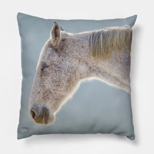 Smiling Horse Pillow