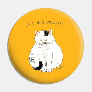 It's only Wednesday Pin