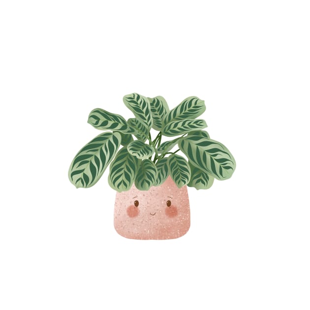 Cute Plant Illustration,  Calathea Burle-Marxii Amabilis 5 by gusstvaraonica