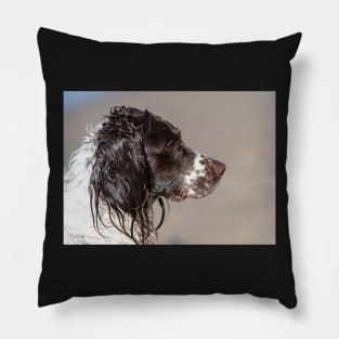 Welsh Springer Spaniel Pillow