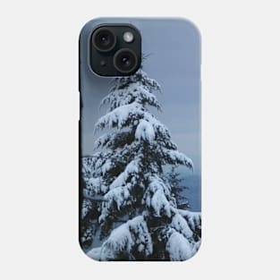 Brr! Phone Case