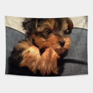 Cute Yorkie Puppy Tapestry