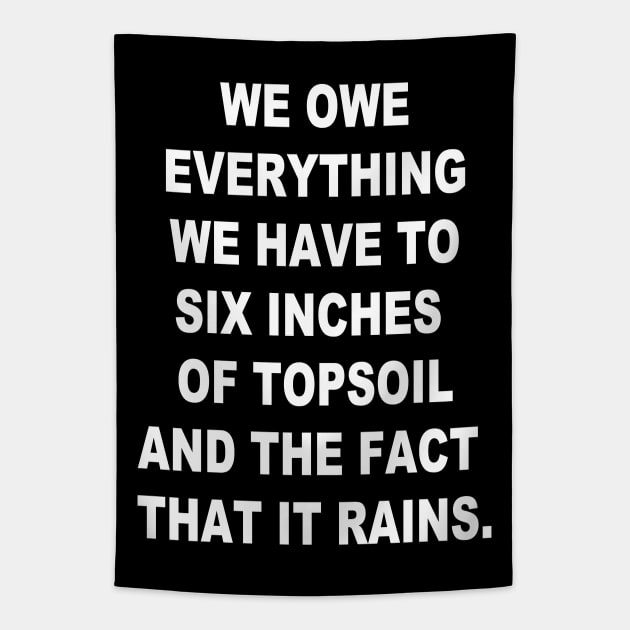 Topsoil & Rain Tapestry by RockettGraph1cs