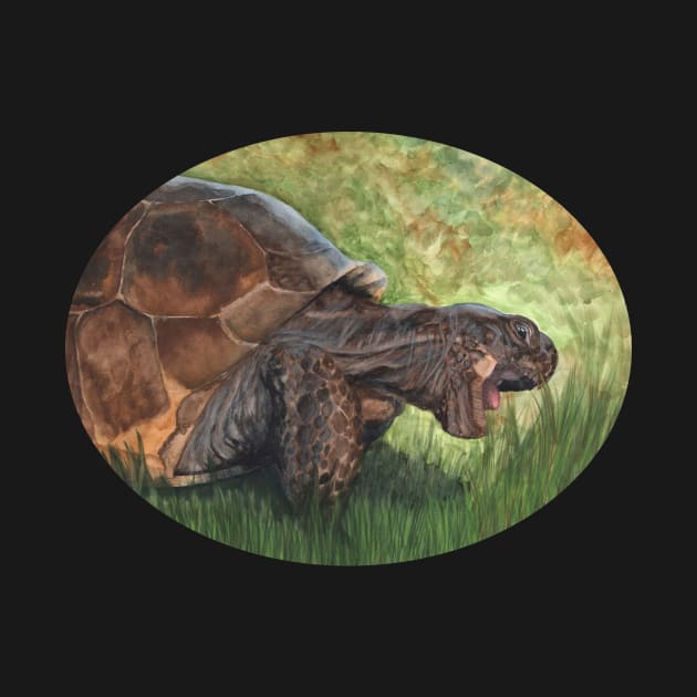 Gopher Tortoise by Sherrie Spencer by Sherrie Spencer Studios