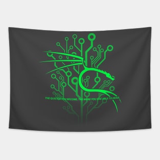 Kali Linux Backtrack Dragon Programming Tapestry