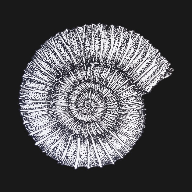 Ammonite by KKpalaeoartist