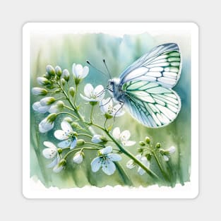 Green Hairstreak - Watercolor Butterfly Magnet