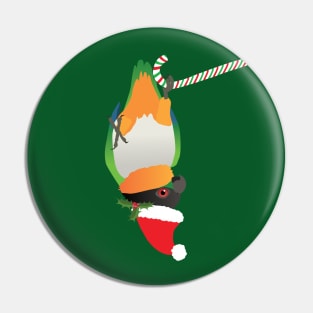 A cute Christmas black headed caique Pin