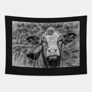 Portrait of a Cow in Black & White Tapestry