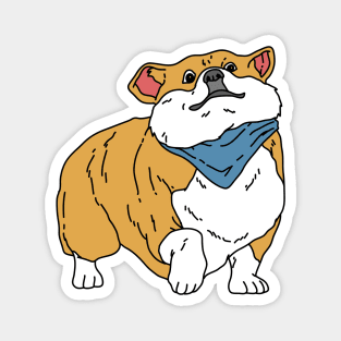 Cute Fluffy Corgi Magnet