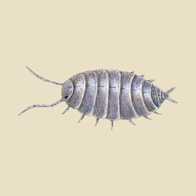 Porcellionides pruinosus "powder blue" Isopod by paintedpansy