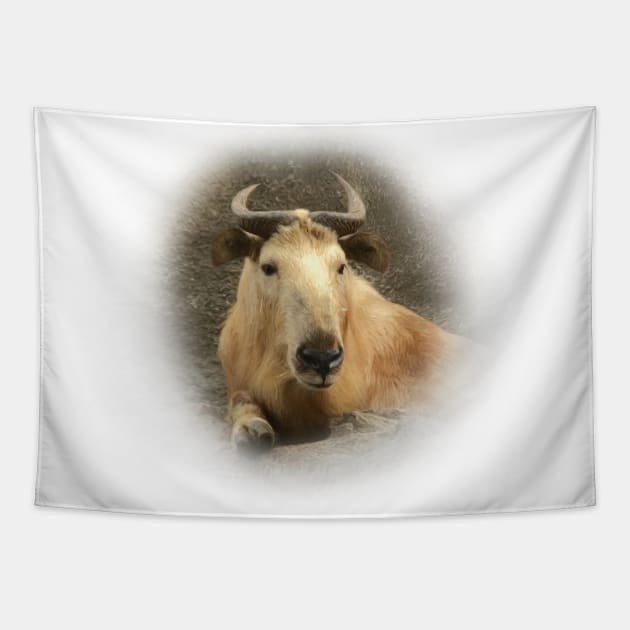 Gnu goat-Takin Tapestry by Guardi