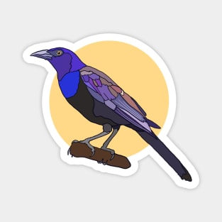 Common Grackle Magnet