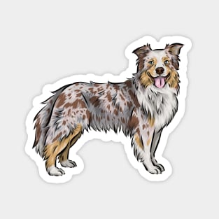 Australian Shepherd Dog | Red Merle | Rose Ears Magnet