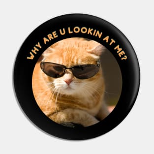 Ginger Cat, Why are you looking at me Pin