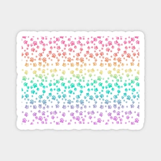 Paw Prints Pastel Rainbow Graphic Design Magnet