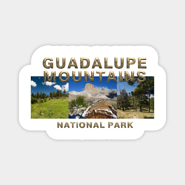 Guadalupe Mountains Magnet by teepossible