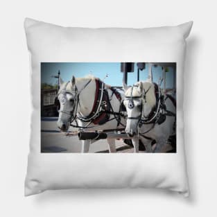 Percheron Draft Horses Pillow