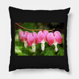 Bleeding Hearts Pillow