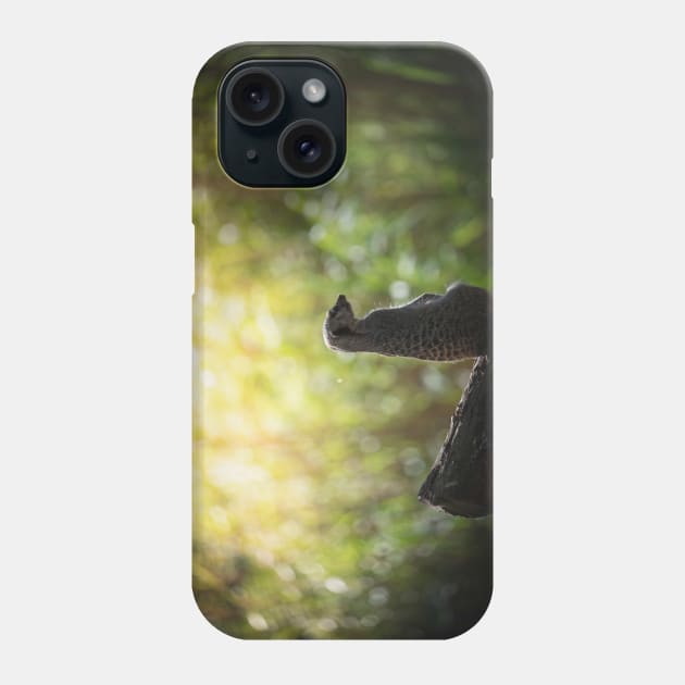 Meerkat Phone Case by withluke