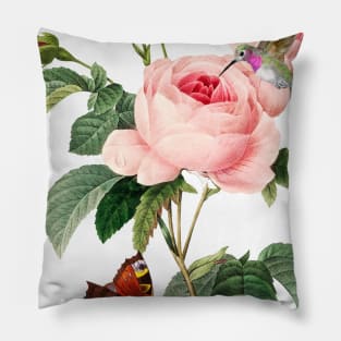 Annas Hummingbird Rose Gift for Bird Lovers Pillow