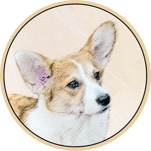 Pembroke Welsh Corgi Kids T-Shirt by Alpen Designs