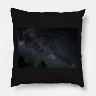 THE MILKY WAY Pillow