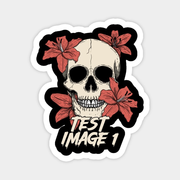 test image 1 Magnet by BICAMERAL