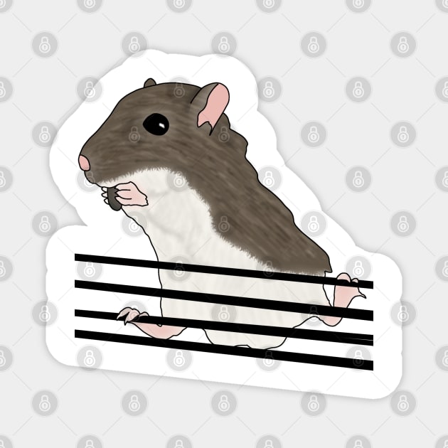 Cute brown gerbil eating sunflower seeds Magnet by Becky-Marie