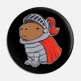 Capybara Knight Costume Pin