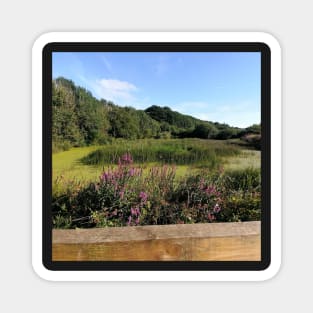 beautiful nature walk (catrionaroberts, nature walk, nature, walk, nature walk picture and nature walk image) Magnet