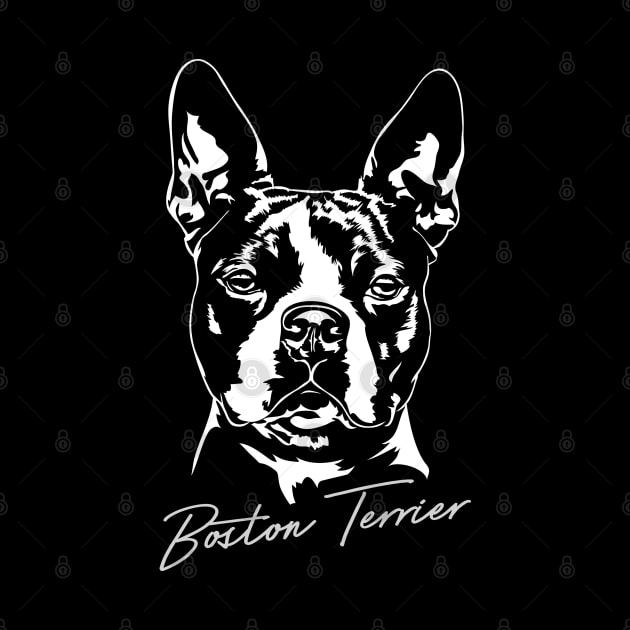 Boston Terrier Portrait dog lover by wilsigns