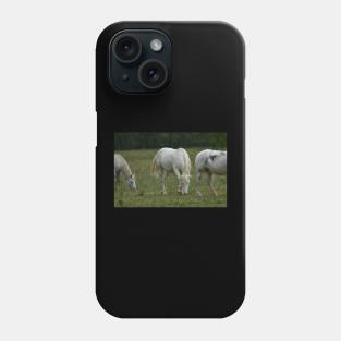 Wild Horses Phone Case