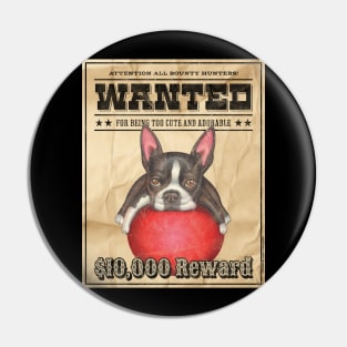 Funny Cute Boston Terrier Wanted Poster Pin