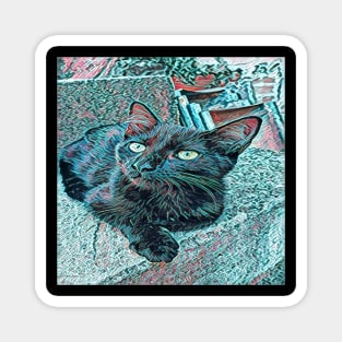 ART BLACK CAT Magnet