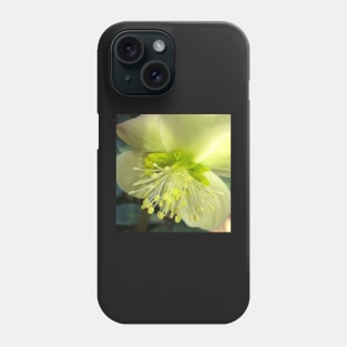 The Shining and Tender Winter Yellow Hellebore Phone Case